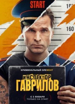 Инспектор Гаврилов сериал (2024)