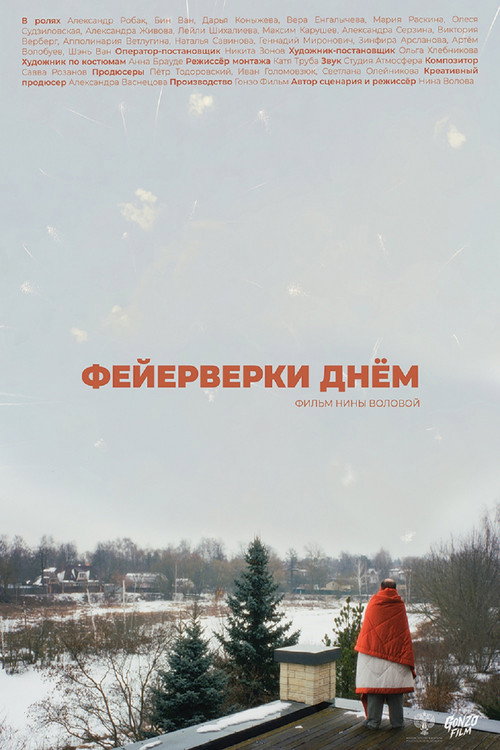 Фейерверки днём  (2025)