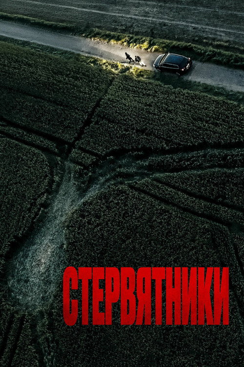 Стервятники  (1969)